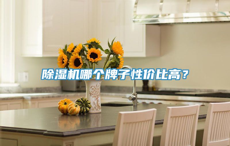 草莓小视频黄色哪個牌子性價比高？