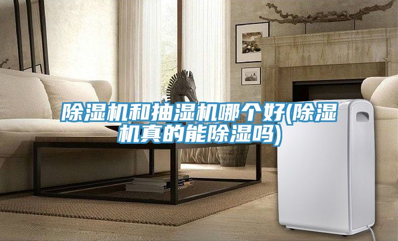 草莓小视频黄色和抽濕機哪個好(草莓小视频黄色真的能除濕嗎)