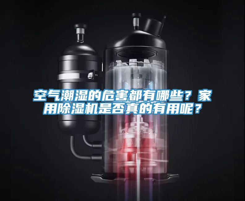 空氣潮濕的危害都有哪些？家用草莓小视频黄色是否真的有用呢？