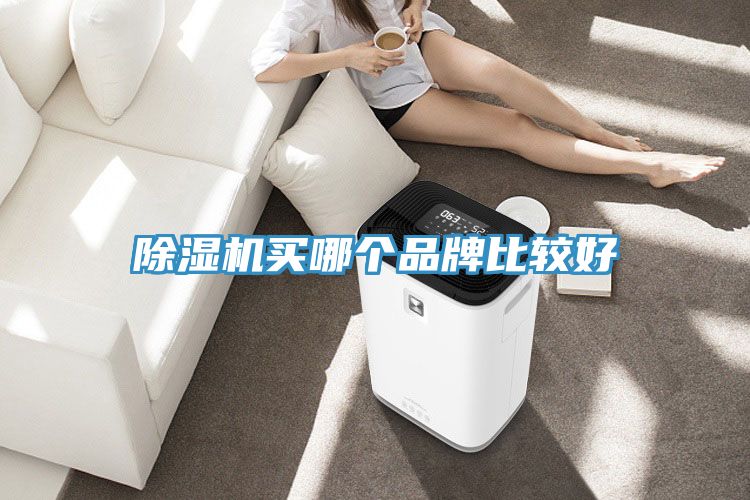 草莓小视频黄色買哪個品牌比較好