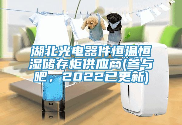 湖北光電器件恒溫恒濕儲存櫃供應商(參與吧，2022已更新)