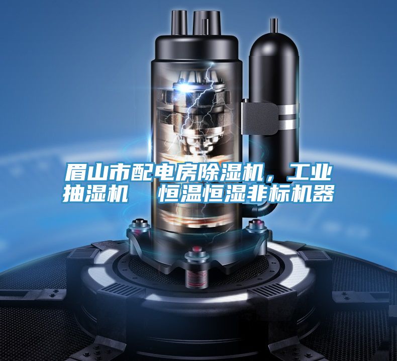 眉山市配電房草莓小视频黄色，工業抽濕機  恒溫恒濕非標機器