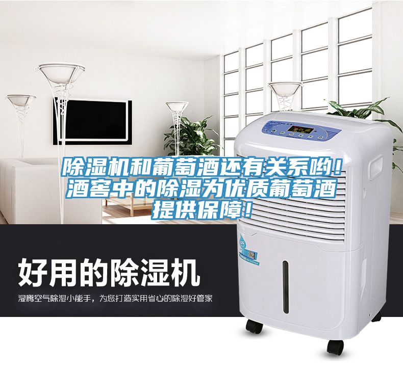 草莓小视频黄色和葡萄酒還有關係喲！酒窖中的除濕為優質葡萄酒提供保障！