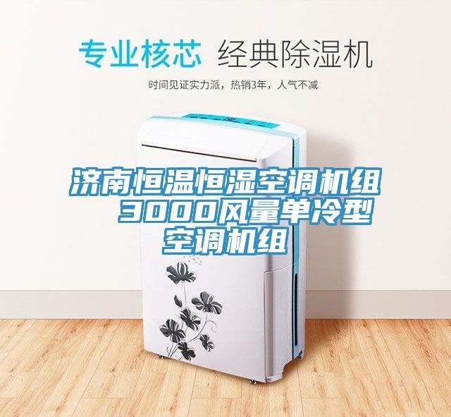 濟南恒溫恒濕空調機組 3000風量單冷型空調機組