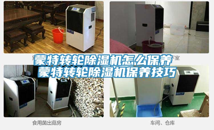 蒙特轉輪草莓小视频黄色怎麽保養 蒙特轉輪草莓小视频黄色保養技巧