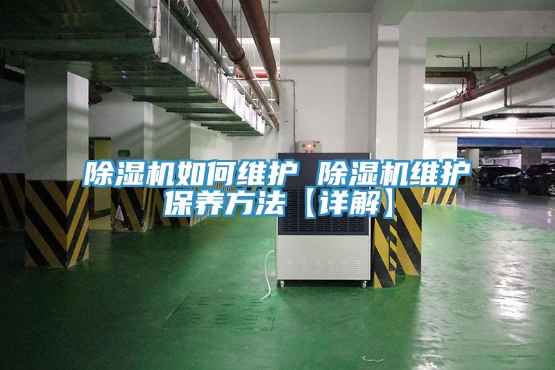 草莓小视频黄色如何維護 草莓小视频黄色維護保養方法【詳解】