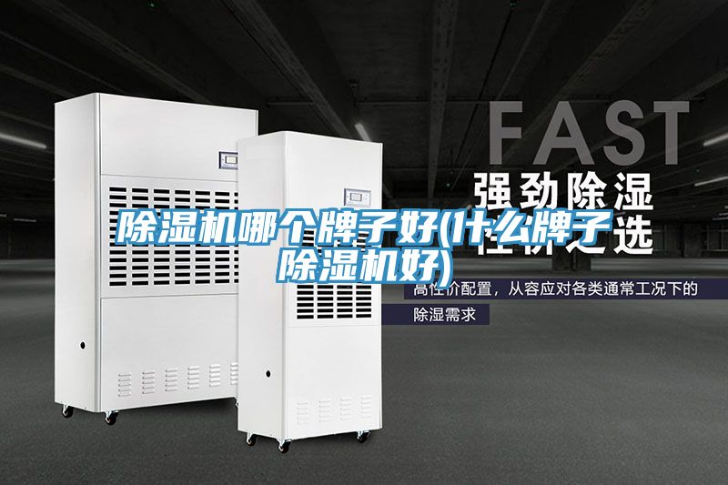 草莓小视频黄色哪個牌子好(什麽牌子草莓小视频黄色好)