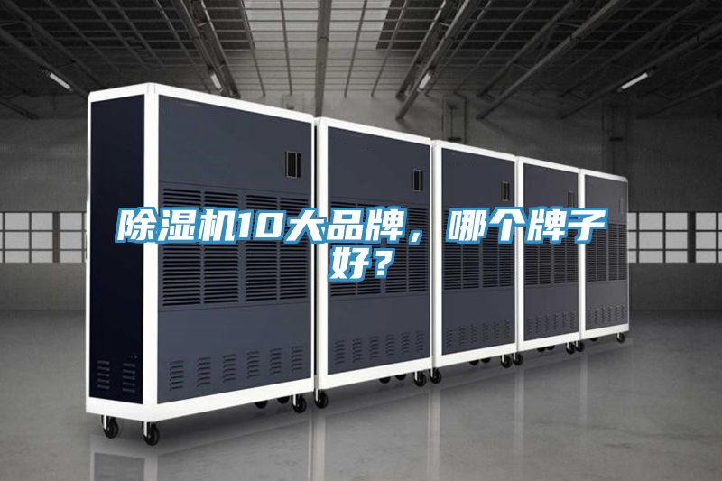 草莓小视频黄色10大品牌，哪個牌子好？