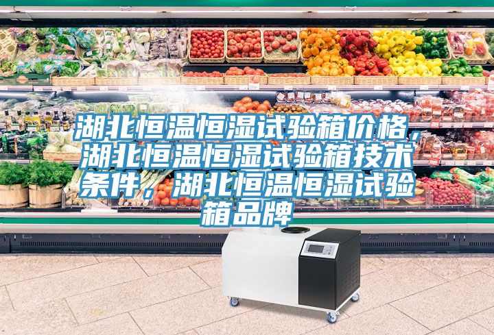 湖北恒溫恒濕試驗箱價格，湖北恒溫恒濕試驗箱技術條件，湖北恒溫恒濕試驗箱品牌