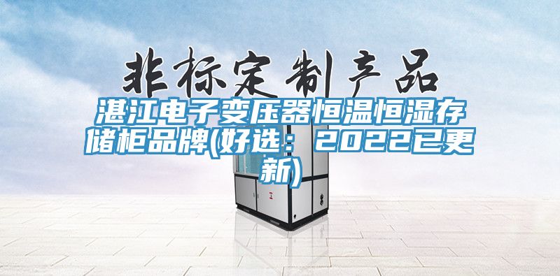 湛江電子變壓器恒溫恒濕存儲櫃品牌(好選：2022已更新)