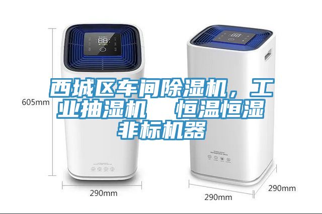 西城區車間草莓小视频黄色，工業抽濕機  恒溫恒濕非標機器