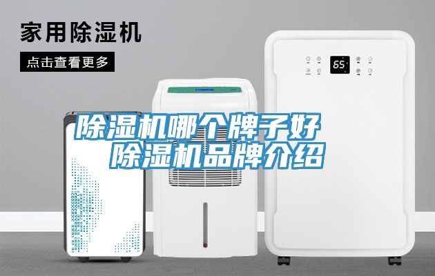 草莓小视频黄色哪個牌子好 草莓小视频黄色品牌介紹