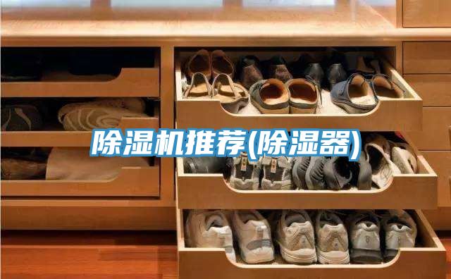 草莓小视频黄色推薦(除濕器)