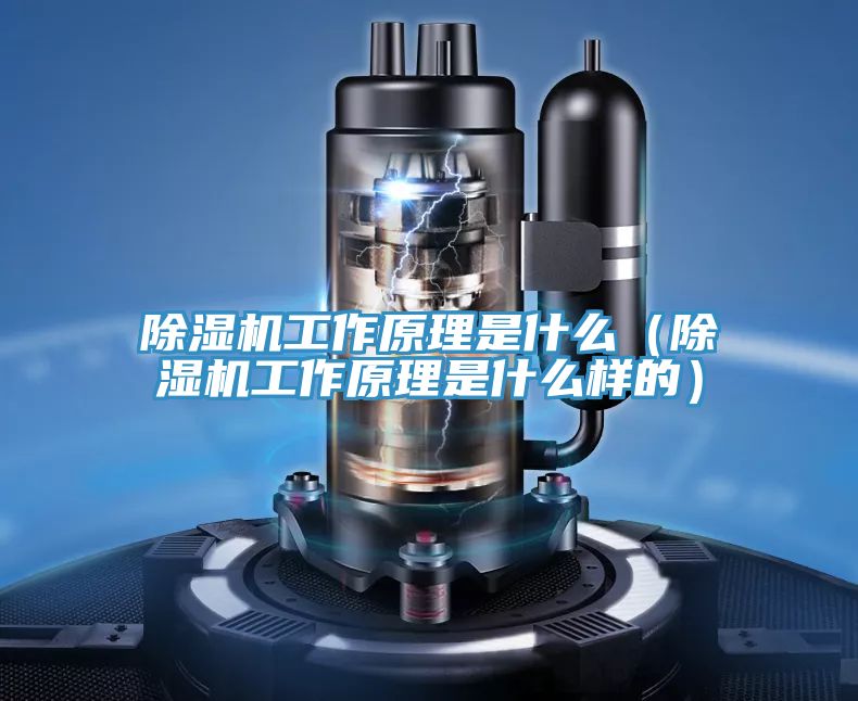 草莓小视频黄色工作原理是什麽(草莓小视频黄色工作原理是什麽樣的)