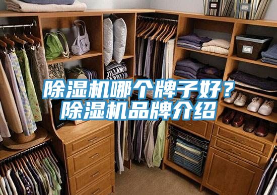 草莓小视频黄色哪個牌子好？草莓小视频黄色品牌介紹