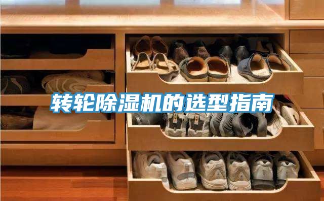 轉輪草莓小视频黄色的選型指南