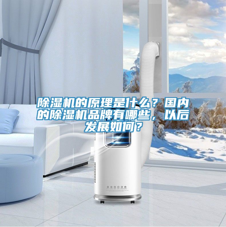 草莓小视频黄色的原理是什麽？國內的草莓小视频黄色品牌有哪些，以後發展如何？