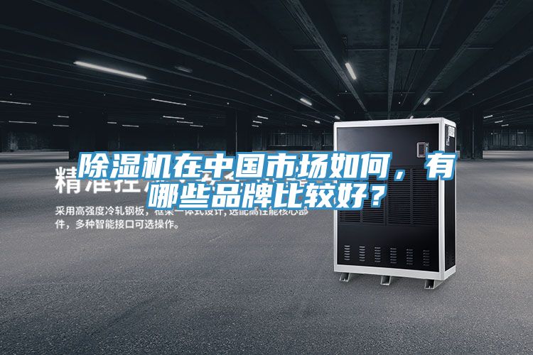 草莓小视频黄色在中國市場如何，有哪些品牌比較好？