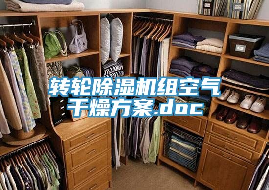 轉輪草莓小视频黄色組空氣幹燥方案.doc