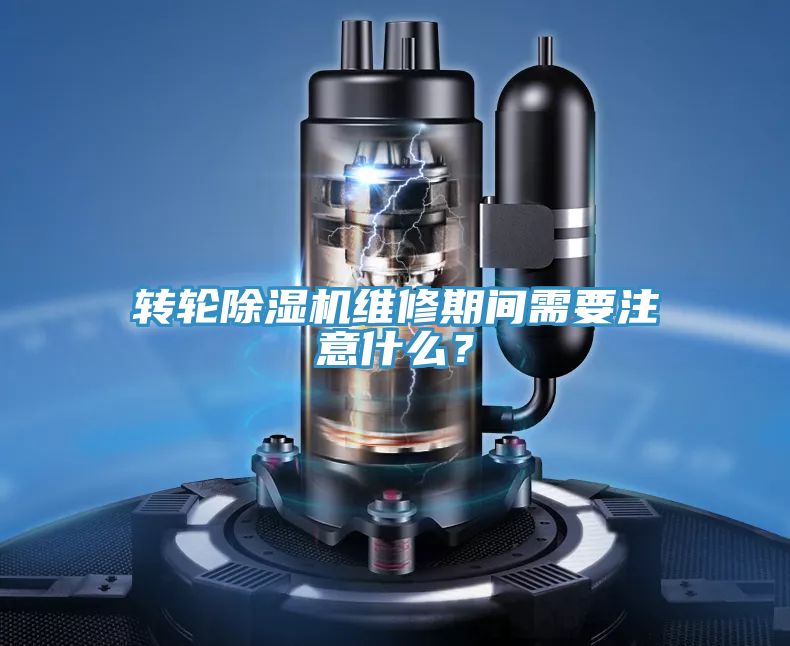 轉輪草莓小视频黄色維修期間需要注意什麽？