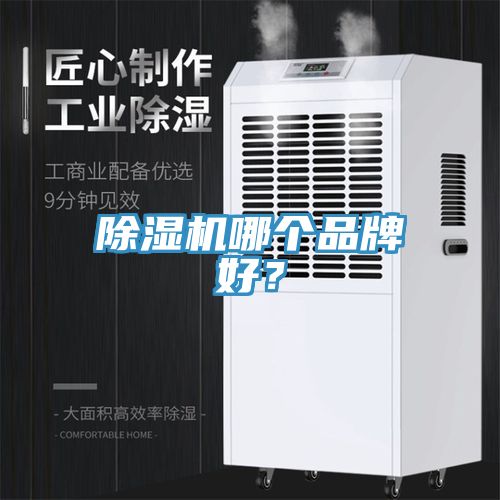 草莓小视频黄色哪個品牌好？