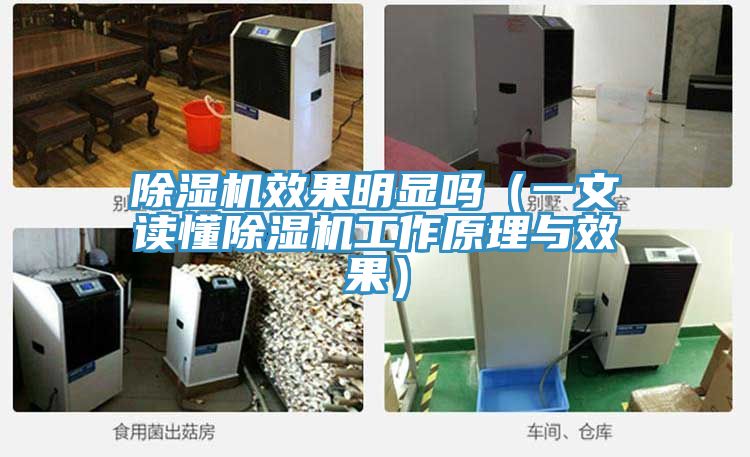 草莓小视频黄色效果明顯嗎（一文讀懂草莓小视频黄色工作原理與效果）