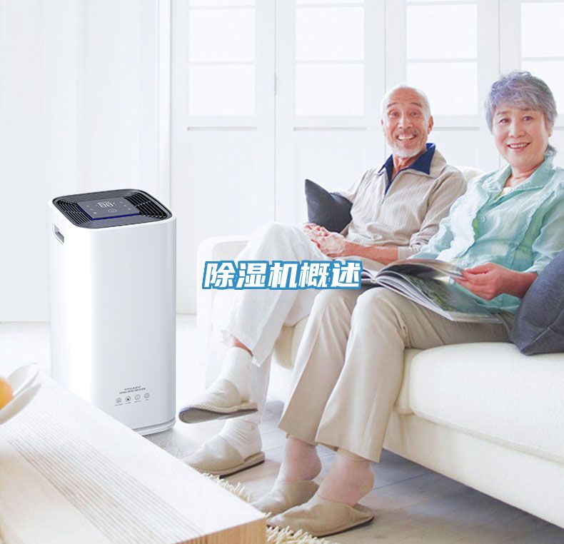 草莓小视频黄色概述