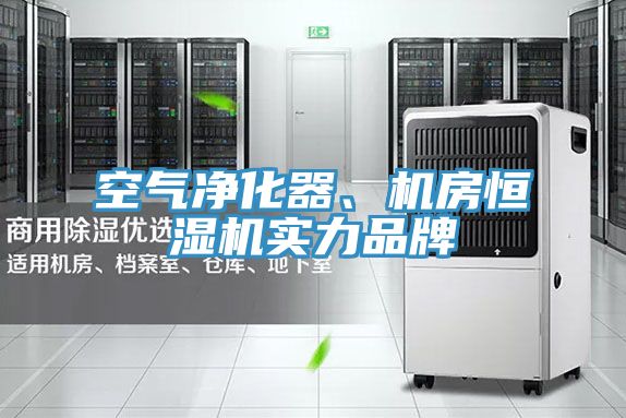 空氣淨化器、機房恒濕機實力品牌