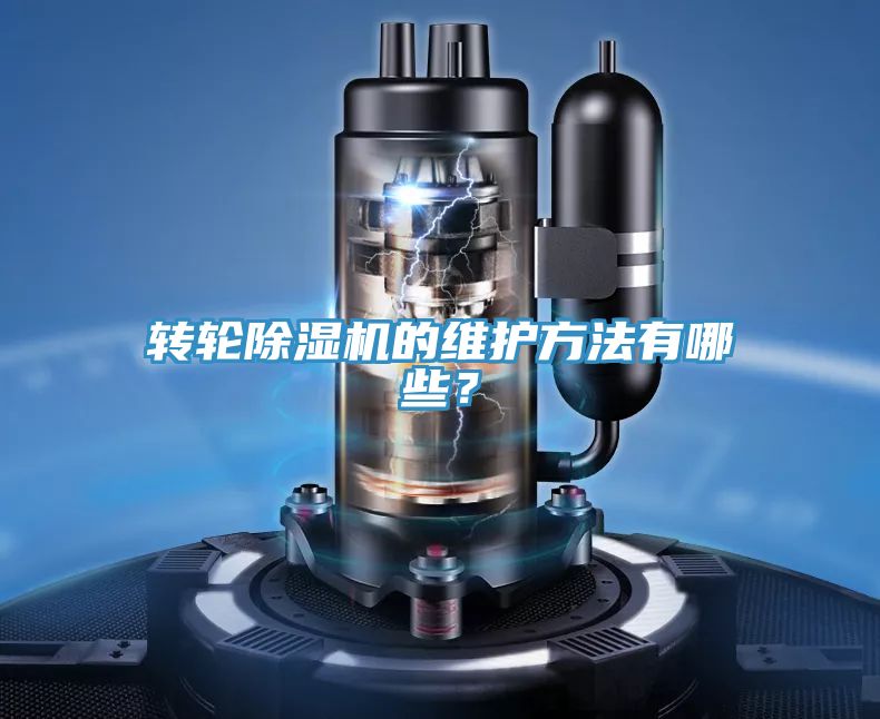 轉輪草莓小视频黄色的維護方法有哪些？