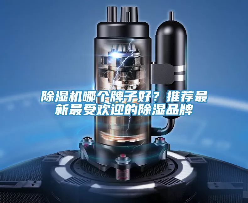 草莓小视频黄色哪個牌子好？推薦最新最受歡迎的除濕品牌