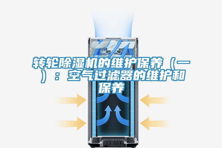 轉輪草莓小视频黄色的維護保養（一）：空氣過濾器的維護和保養