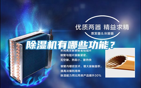 草莓小视频黄色有哪些功能？