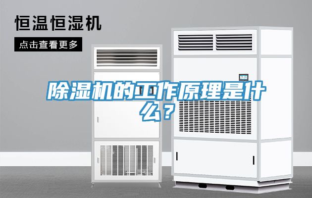 草莓小视频黄色的工作原理是什麽?