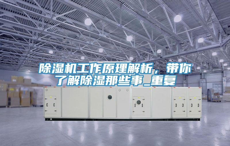 草莓小视频黄色工作原理解析，帶你了解除濕那些事_重複