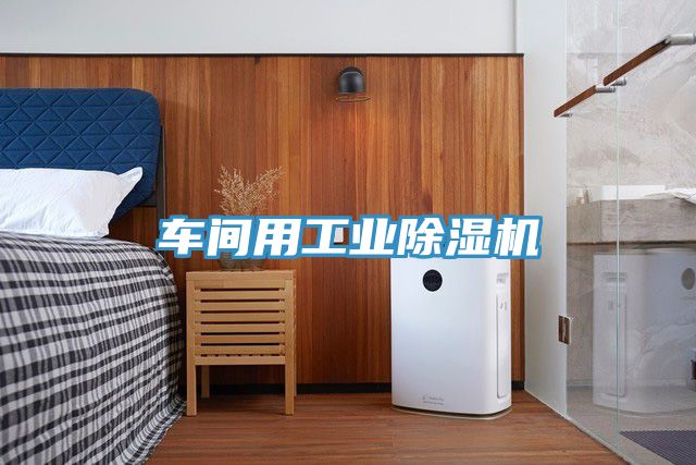 車間用工業草莓小视频黄色