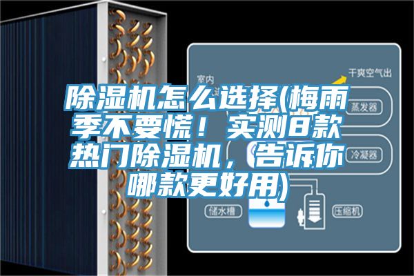 草莓小视频黄色怎麽選擇(梅雨季不要慌！實測8款熱門草莓小视频黄色，告訴你哪款更好用)