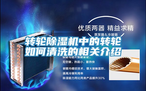 轉輪草莓小视频黄色中的轉輪如何清洗的相關介紹