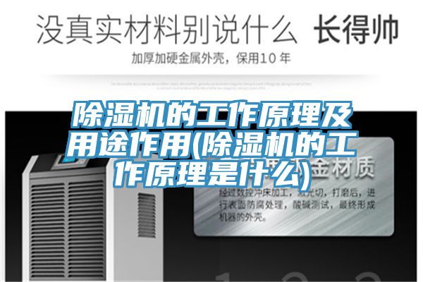 草莓小视频黄色的工作原理及用途作用(草莓小视频黄色的工作原理是什麽)