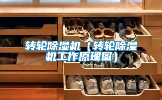 轉輪草莓小视频黄色(轉輪草莓小视频黄色工作原理圖)