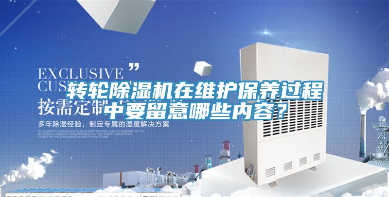 轉輪草莓小视频黄色在維護保養過程中要留意哪些內容？