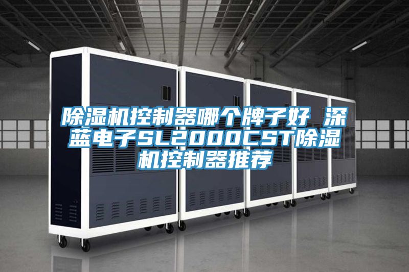 草莓小视频黄色控製器哪個牌子好 深藍電子SL2000CST草莓小视频黄色控製器推薦