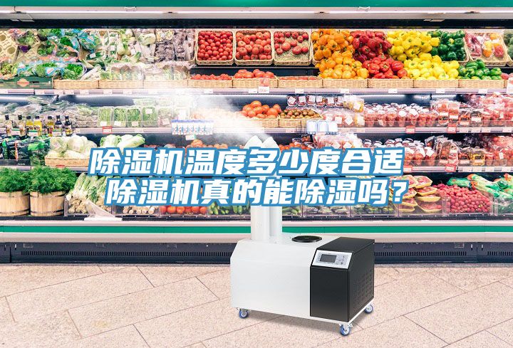 草莓小视频黄色溫度多少度合適 草莓小视频黄色真的能除濕嗎?