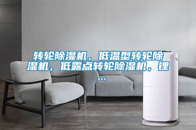 轉輪草莓小视频黄色,低溫型轉輪草莓小视频黄色,低露點轉輪草莓小视频黄色,鋰 ...