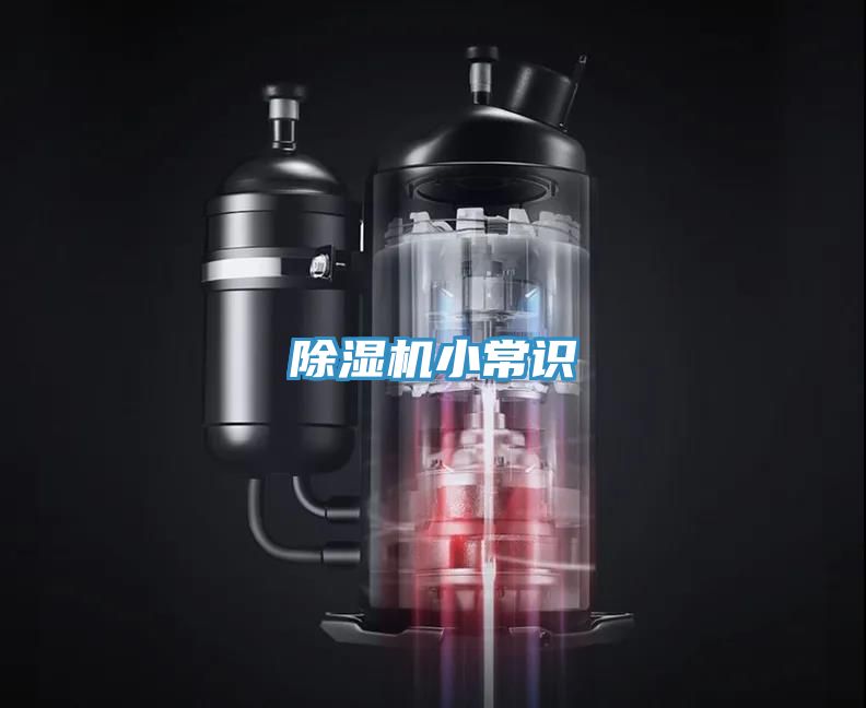 草莓小视频黄色小常識