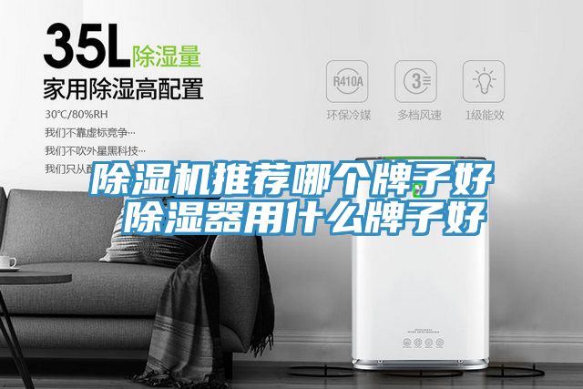 草莓小视频黄色推薦哪個牌子好 除濕器用什麽牌子好