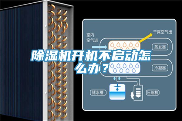 草莓小视频黄色開機不啟動怎麽辦？