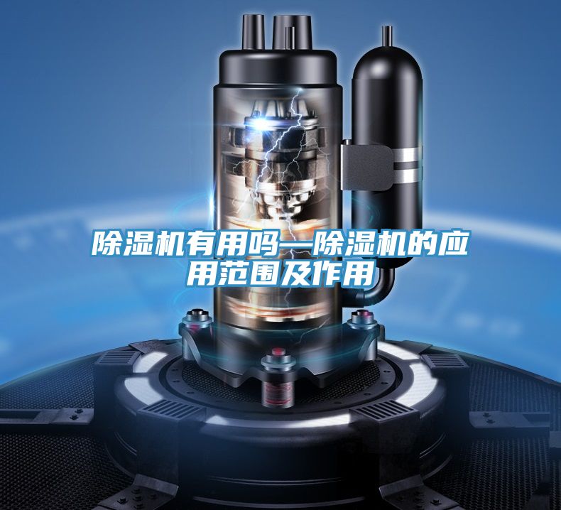 草莓小视频黄色有用嗎—草莓小视频黄色的應用範圍及作用